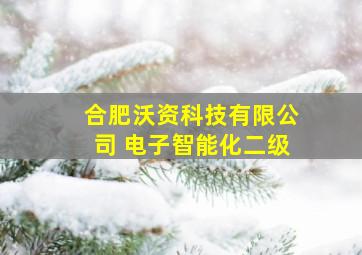 合肥沃资科技有限公司 电子智能化二级